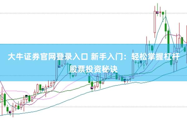 大牛证券官网登录入口 新手入门：轻松掌握杠杆股票投资秘诀
