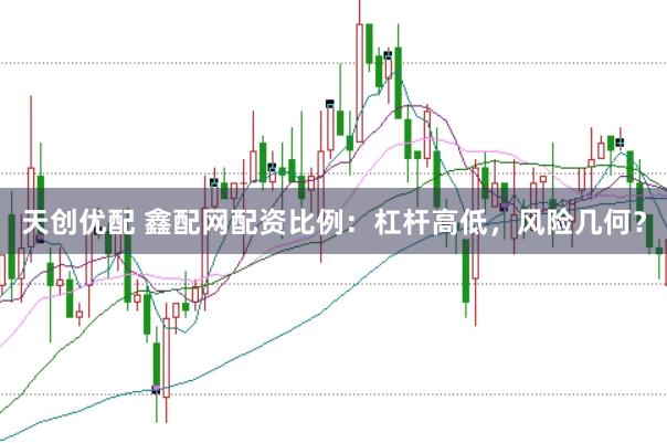 天创优配 鑫配网配资比例：杠杆高低，风险几何？