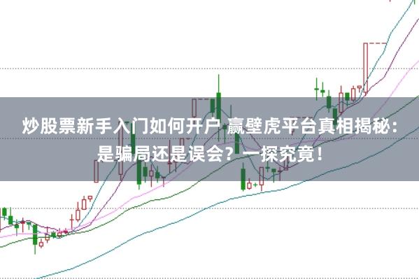 炒股票新手入门如何开户 赢壁虎平台真相揭秘：是骗局还是误会？一探究竟！