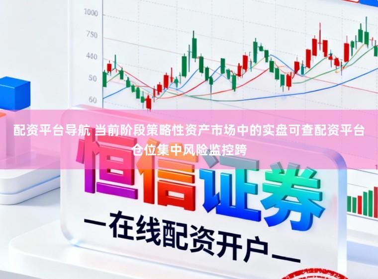 配资平台导航 当前阶段策略性资产市场中的实盘可查配资平台仓位集中风险监控跨