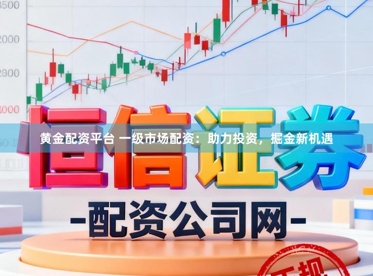 黄金配资平台 一级市场配资：助力投资，掘金新机遇
