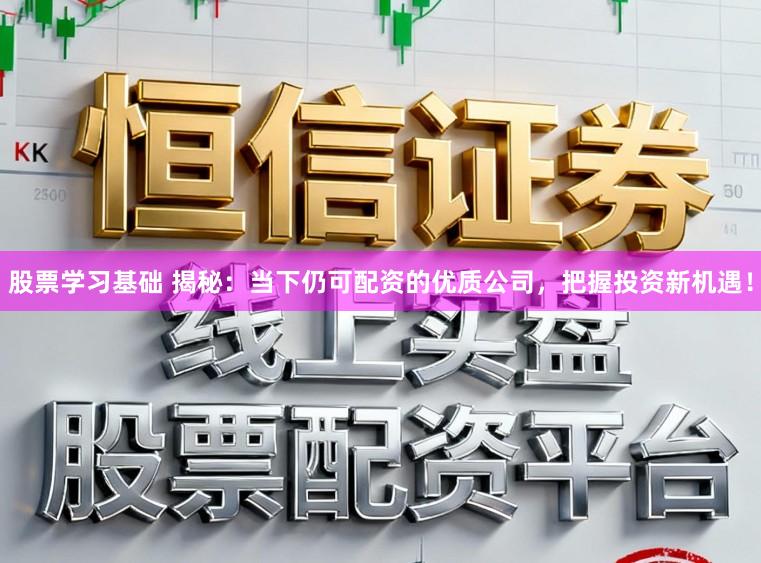 股票学习基础 揭秘：当下仍可配资的优质公司，把握投资新机遇！